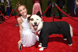 G. Hannelius and the dog of Dog With a Blog arrive for the 2014 Primetime Creative Arts Emmys.